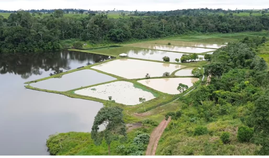 Altamira Brilha na Psicultura Paraense